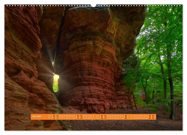 Produktbild: Magischer Pf&auml;lzer Wald (Wandkalender 2026 DIN A2 quer), CALVENDO Monatskalender