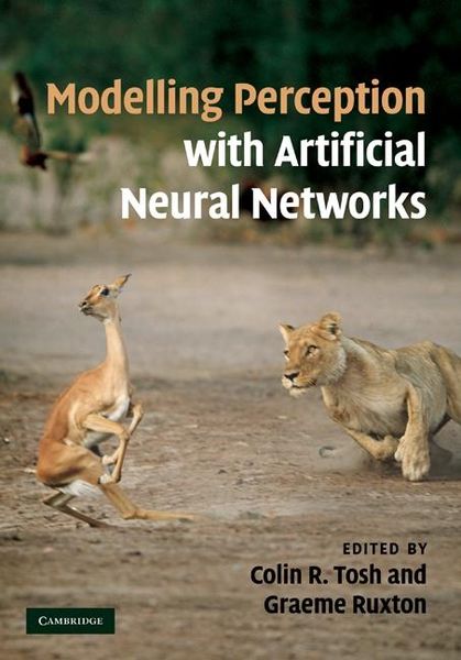 Produktbild: Modelling Perception with Artificial Neural Networks