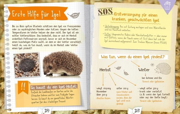 Produktbild: Naturforscher im Winter