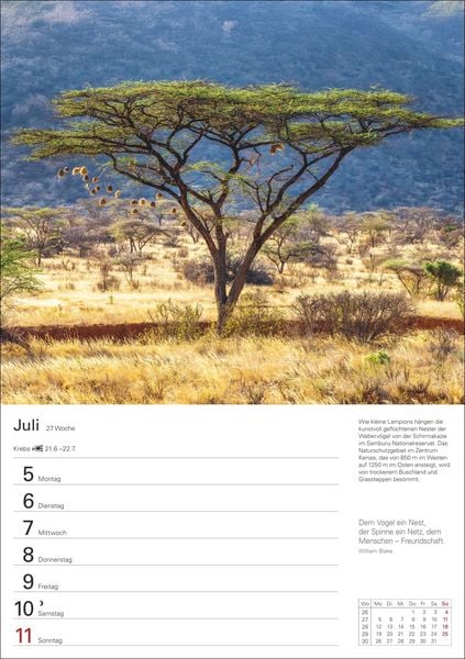 Produktbild: Natursch&auml;tze Afrikas Wochenplaner 2027 - Eine Reise in 53 Bildern
