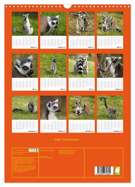 Produktbild: Katta Terminplaner (Wandkalender 2026 DIN A3 hoch), CALVENDO Monatskalender