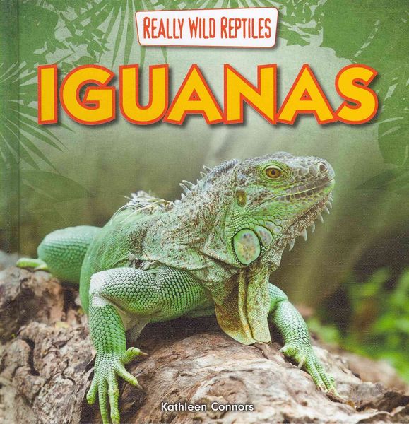 Produktbild: Iguanas