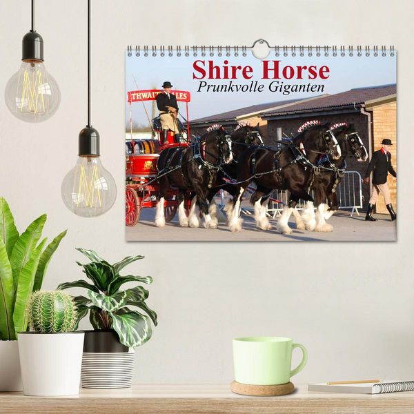 Produktbild: Shire Horse &bull; Prunkvolle Giganten (Wandkalender 2026 DIN A4 quer), CALVENDO Monatskalender