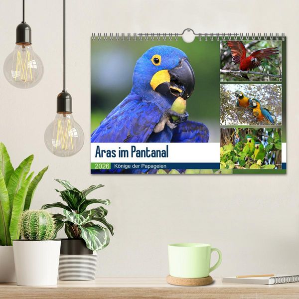 Produktbild: Aras im Pantanal (Wandkalender 2026 DIN A4 quer), CALVENDO Monatskalender