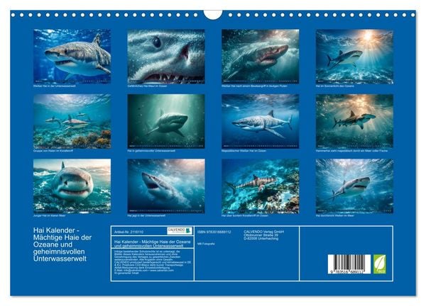 Produktbild: Hai Kalender - M&auml;chtige Haie der Ozeane und geheimnisvollen Unterwasserwelt (Wandkalender 2026 DIN A3 quer), CALVENDO Monatskalender
