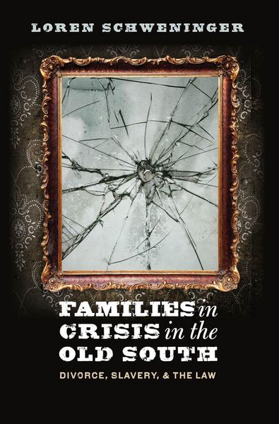 Produktbild: Families in Crisis in the Old South