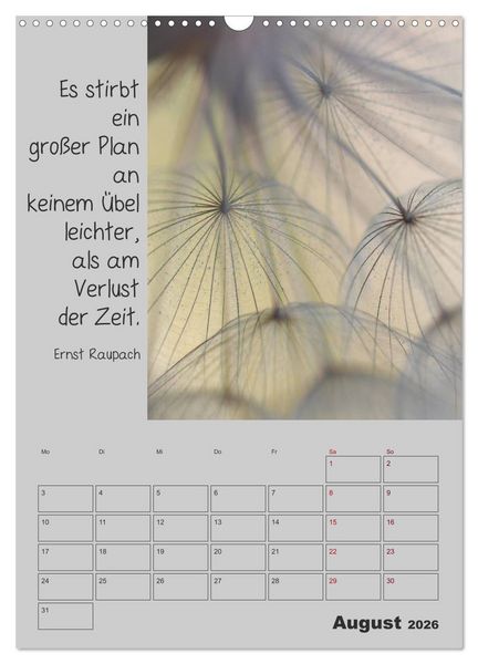 Produktbild: Motivationshilfe (Wandkalender 2026 DIN A3 hoch), CALVENDO Monatskalender