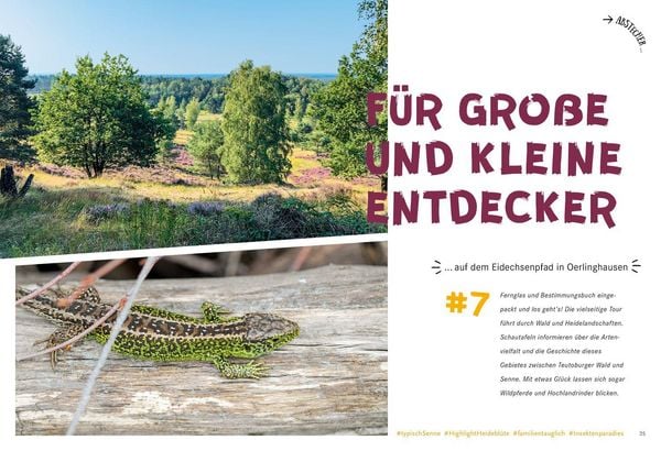 Produktbild: 52 kleine & gro&szlig;e Eskapaden in Ostwestfalen-Lippe