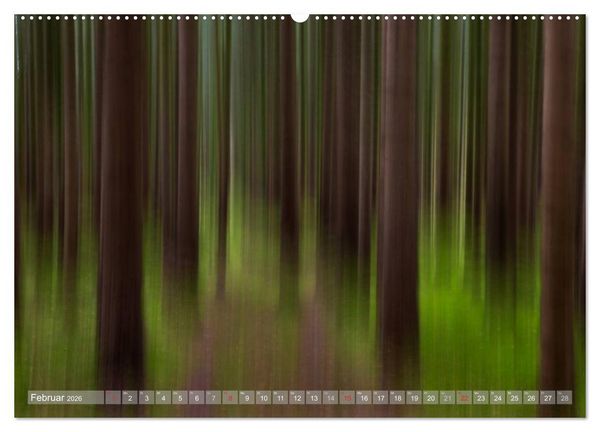Produktbild: Atelier Wald - gemalt mit Licht (Wandkalender 2026 DIN A2 quer), CALVENDO Monatskalender