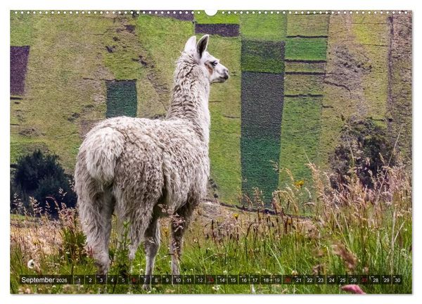 Produktbild: Ecuador 2026 Zwischen Hochland und K&uuml;ste (hochwertiger Premium Wandkalender 2026 DIN A2 quer), Kunstdruck in Hochglanz