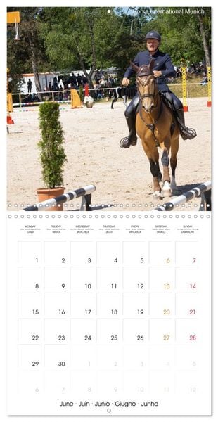 Produktbild: The Speed Trail (Wall Calendar 2026 12 &times; 12 Inch) CALVENDO 12 Month Wall Calendar