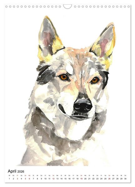 Produktbild: Hunde Portr&auml;ts in Aquarell (Wandkalender 2026 DIN A3 hoch), CALVENDO Monatskalender