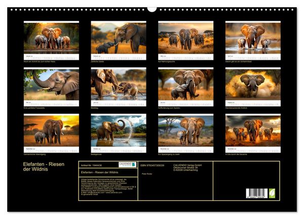 Produktbild: Elefanten - Riesen der Wildnis (Wandkalender 2026 DIN A2 quer), CALVENDO Monatskalender