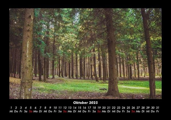 Produktbild: B&auml;ume 2025 Fotokalender DIN A3