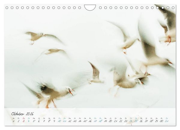 Produktbild: Sehnsucht Meer - Poesie der Stille (Wandkalender 2026 DIN A4 quer), CALVENDO Monatskalender