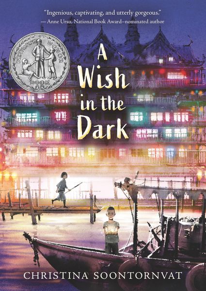 Produktbild: A Wish in the Dark