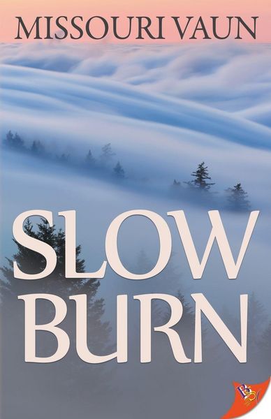 Produktbild: Slow Burn