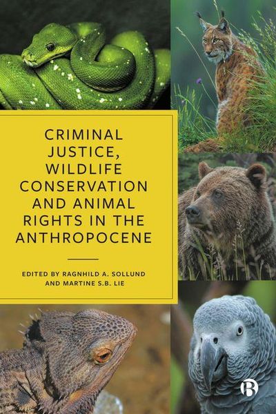 Produktbild: Criminal Justice, Wildlife Conservation and Animal Rights in the Anthropocene