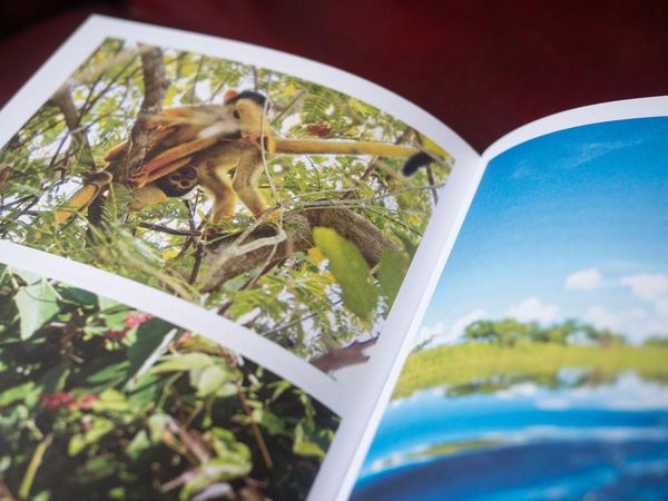 Produktbild: Reisedepeschen aus Bolivien und Peru