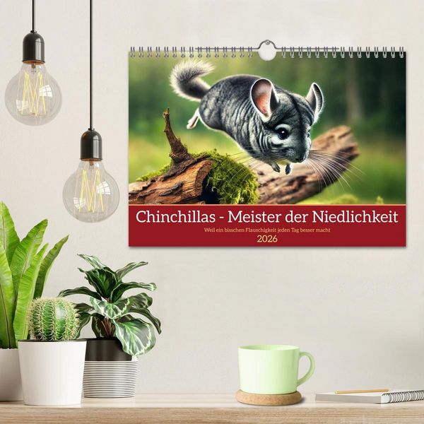 Produktbild: Chinchillas - Meister der Niedlichkeit (Wandkalender 2026 DIN A4 quer), CALVENDO Monatskalender