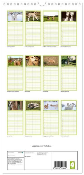 Produktbild: Familienplaner 2026 - Alpakas zum Verlieben mit 5 Spalten (Wandkalender, 21 x 45 cm) CALVENDO