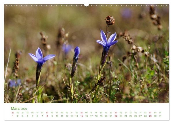 Produktbild: Bergwelt in &Ouml;sterreich (Wandkalender 2026 DIN A2 quer), CALVENDO Monatskalender