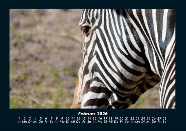 Produktbild: Zebrazauber 2026 Fotokalender DIN A4