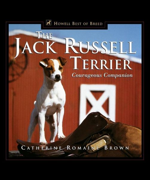 Produktbild: The Jack Russell Terrier