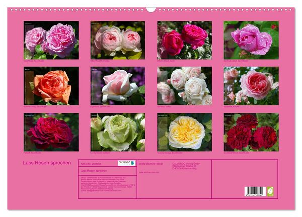 Produktbild: Lass Rosen sprechen (Wandkalender 2026 DIN A2 quer), CALVENDO Monatskalender