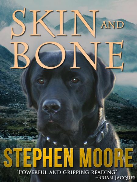 Produktbild: Skin and Bone