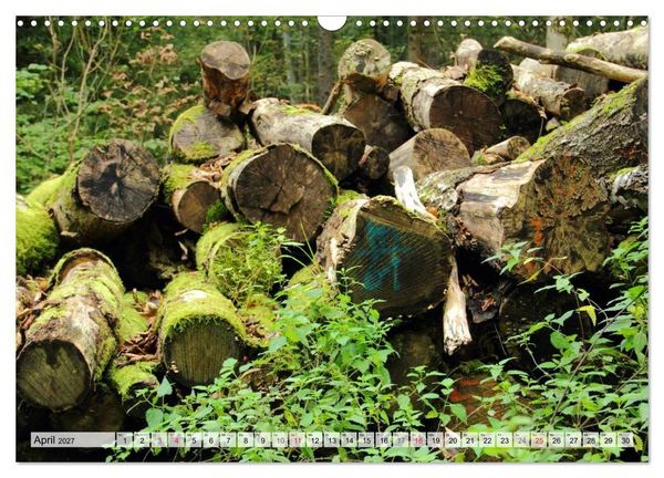 Produktbild: HOLZ - Stapel und St&auml;mme (Wandkalender 2027 DIN A3 quer), CALVENDO Monatskalender