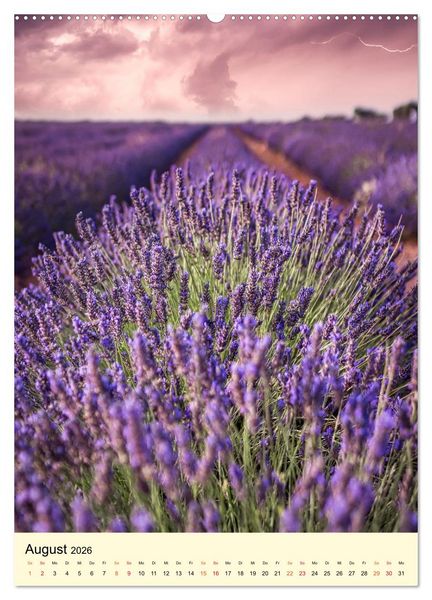 Produktbild: Provence Lavendel Paradies (Wandkalender 2026 DIN A2 hoch), CALVENDO Monatskalender