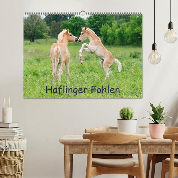 Produktbild: Haflinger Fohlen (Wandkalender 2027 DIN A2 quer), CALVENDO Monatskalender