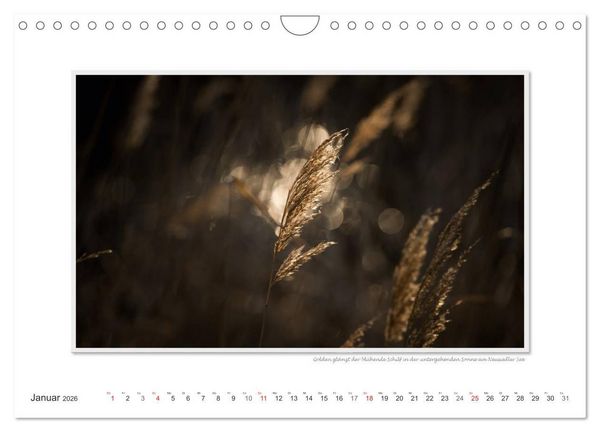 Produktbild: Neusiedler See / CH-Version (Wandkalender 2026 DIN A4 quer), CALVENDO Monatskalender