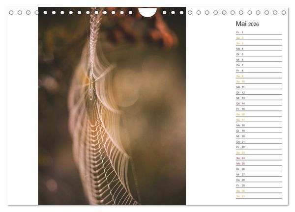 Produktbild: Kleine Wunder vor der Haust&uuml;r (Wandkalender 2026 DIN A4 quer), CALVENDO Monatskalender