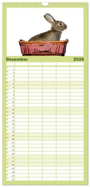 Produktbild: Familienplaner 2026 - Lustige Kaninchen mit 5 Spalten (Wandkalender, 21 x 45 cm) CALVENDO
