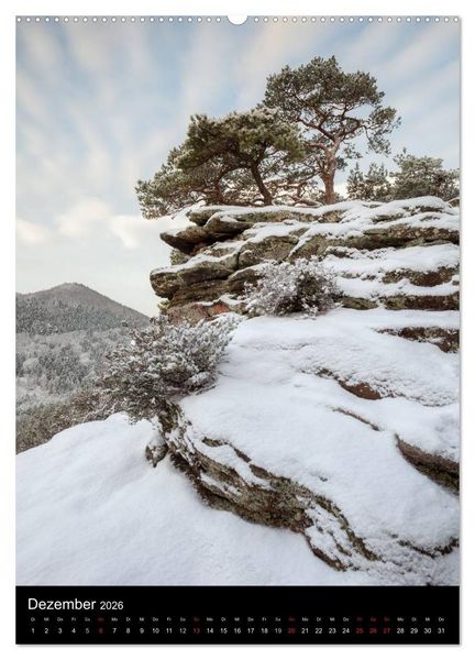 Produktbild: NATURWUNDER PF&Auml;LZERWALD (Wandkalender 2026 DIN A2 hoch), CALVENDO Monatskalender