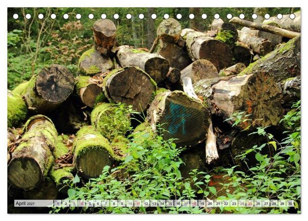 Produktbild: HOLZ - Stapel und St&auml;mme (Tischkalender 2027 DIN A5 quer), CALVENDO Monatskalender