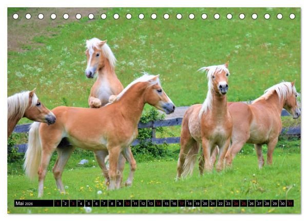 Produktbild: Pferde im Passeiertal (Tischkalender 2026 DIN A5 quer), CALVENDO Monatskalender