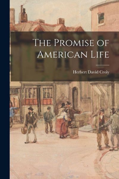 Produktbild: The Promise of American Life