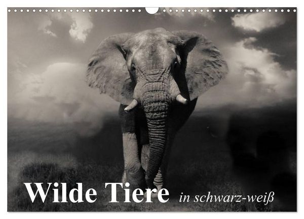 Produktbild: Wilde Tiere in schwarz-wei&szlig; (Wandkalender 2026 DIN A3 quer), CALVENDO Monatskalender