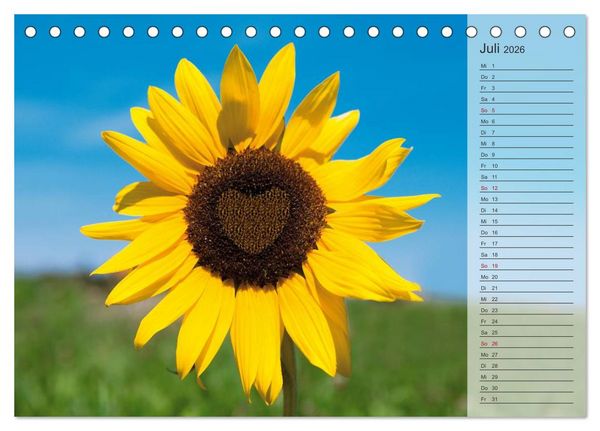 Produktbild: Tage von Herzen (Tischkalender 2026 DIN A5 quer), CALVENDO Monatskalender