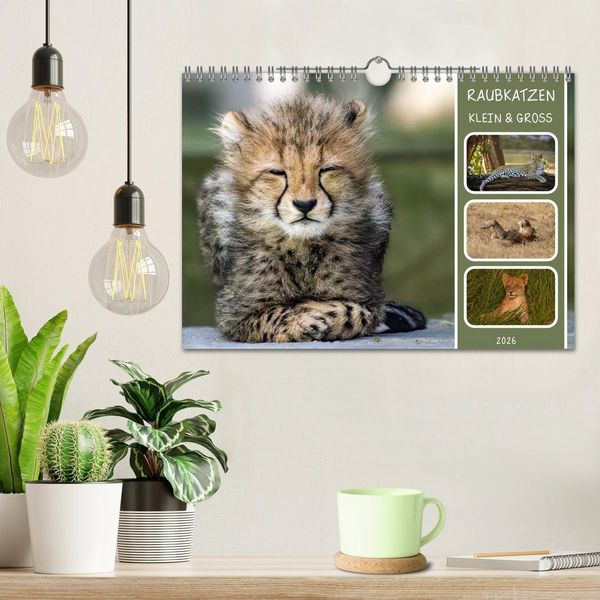 Produktbild: Raubkatzen - gro&szlig; & klein (Wandkalender 2026 DIN A4 quer), CALVENDO Monatskalender