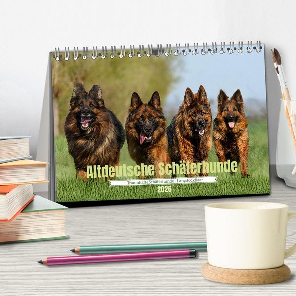 Produktbild: Altdeutsche Sch&auml;ferhunde - Traumhafte Sch&auml;ferhunde Langstockhaar (Tischkalender 2026 DIN A5 quer), CALVENDO Monatskalender