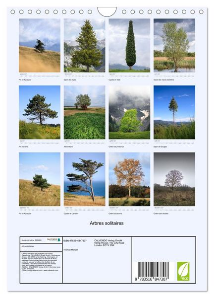 Produktbild: Arbres solitaires (Calendrier mural 2027 DIN A4 horizontal), CALVENDO calendrier mensuel