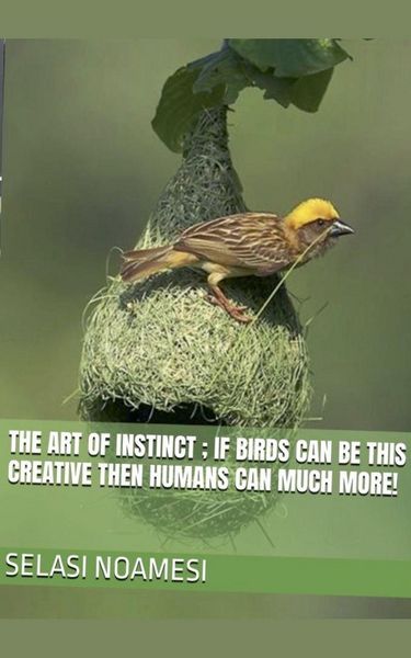 Produktbild: The Art of Instinct