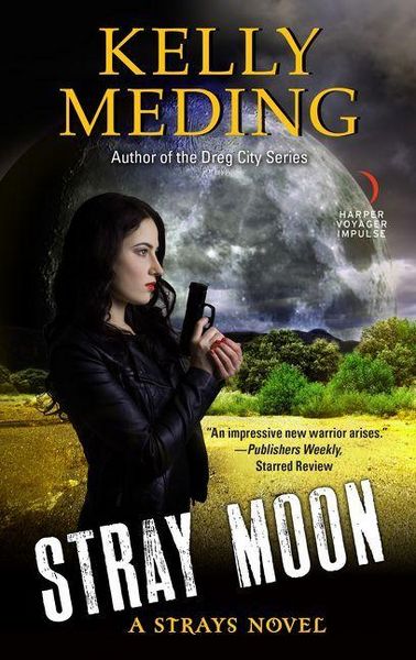 Produktbild: Stray Moon