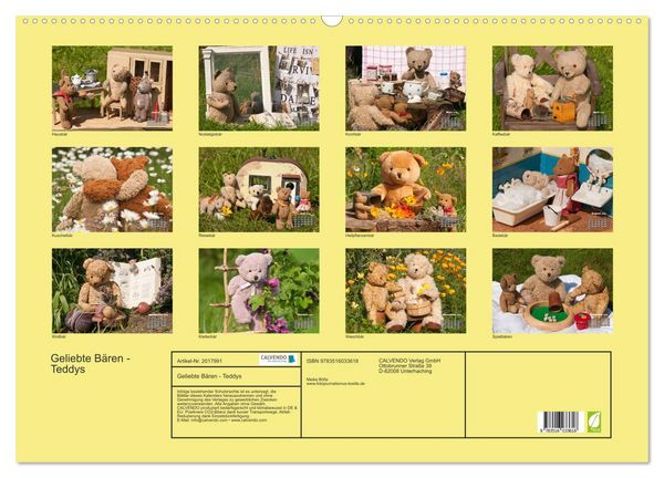 Produktbild: Geliebte B&auml;ren - Teddys (Wandkalender 2026 DIN A2 quer), CALVENDO Monatskalender