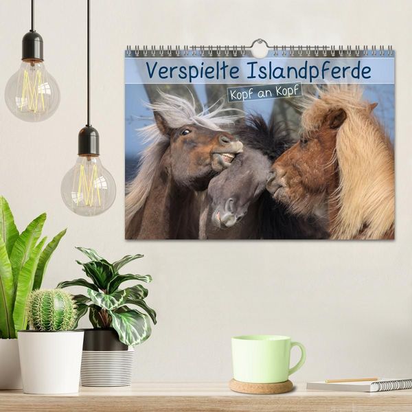 Produktbild: Verspielte Islandpferde Kopf an Kopf (Wandkalender 2027 DIN A4 quer), CALVENDO Monatskalender