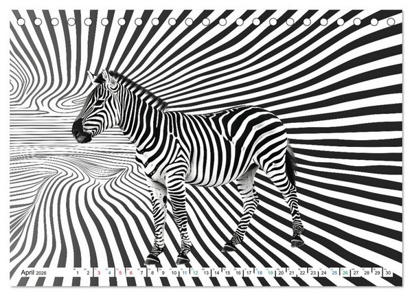 Produktbild: ZEBRAS - Modern Art (Tischkalender 2026 DIN A5 quer), CALVENDO Monatskalender